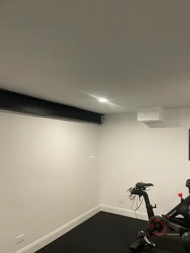 Wall and ceiling painting in Palatine IL